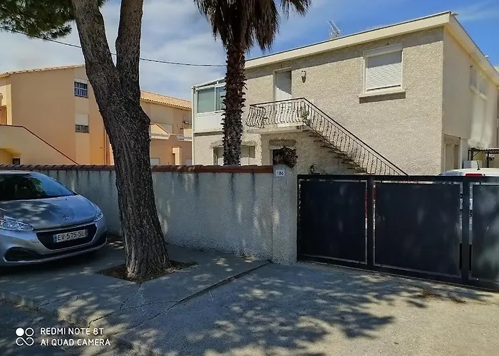 Les Goelands Ca Nous Va Entier * Port-la-Nouvelle